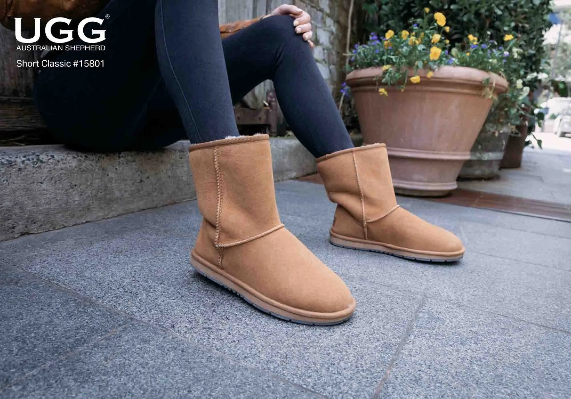 UGG Australian Shepherd Bottes Classiques Courtes Unisexe UGG