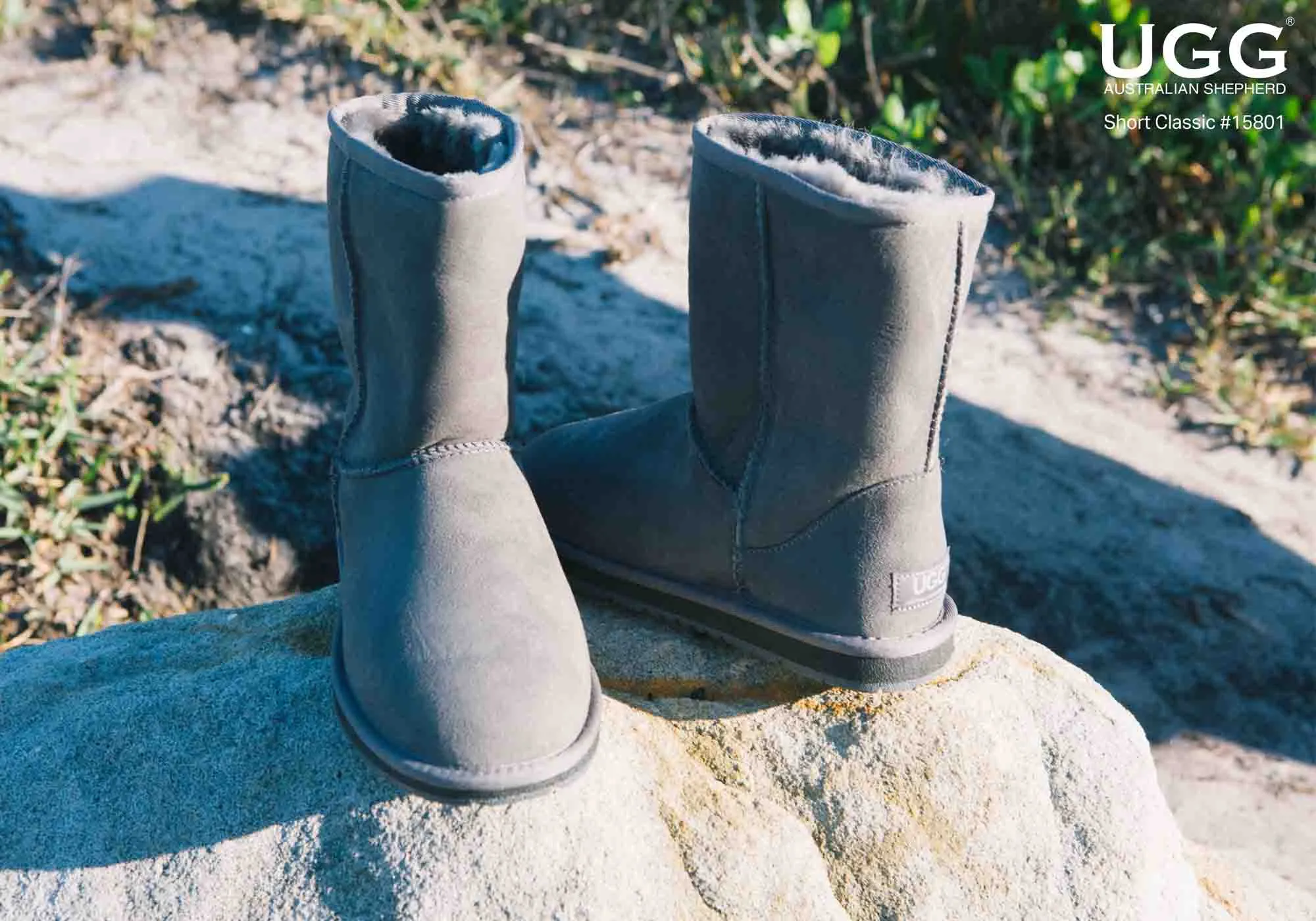 UGG Australian Shepherd Bottes Classiques Courtes Unisexe UGG