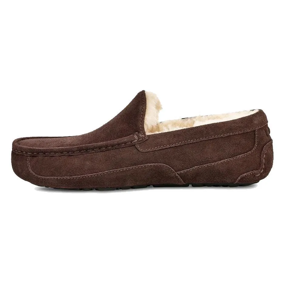 UGG Homme Ascot Suède Espresso
