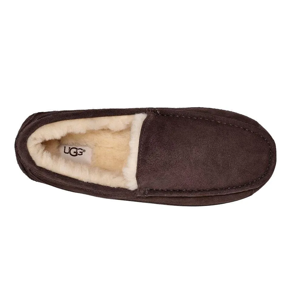 UGG Homme Ascot Suède Espresso