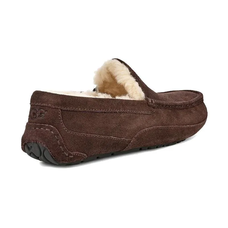 UGG Homme Ascot Suède Espresso
